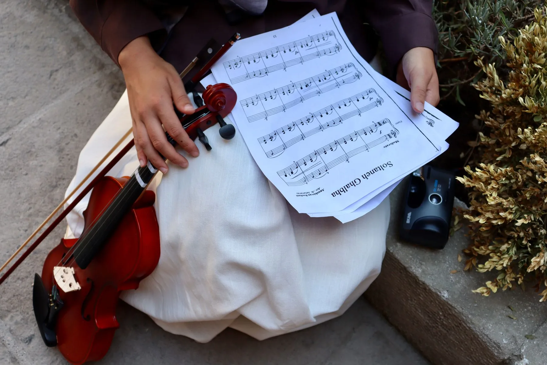 sheet music and violin
