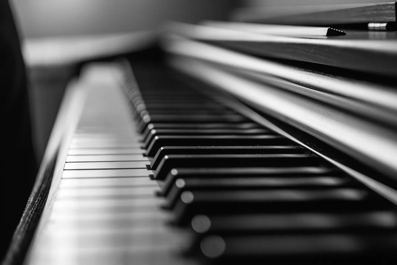 black and white piano keys black and white piano keys